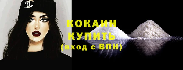 mdpv Богородицк