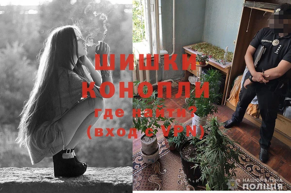 наркотики Богданович