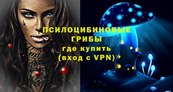 mdpv Богородицк